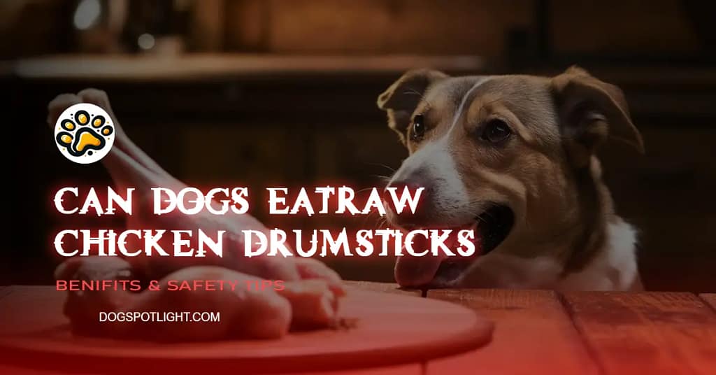 9 Dogs Similar To Cane Corso (Info&Pics) Dog Spot